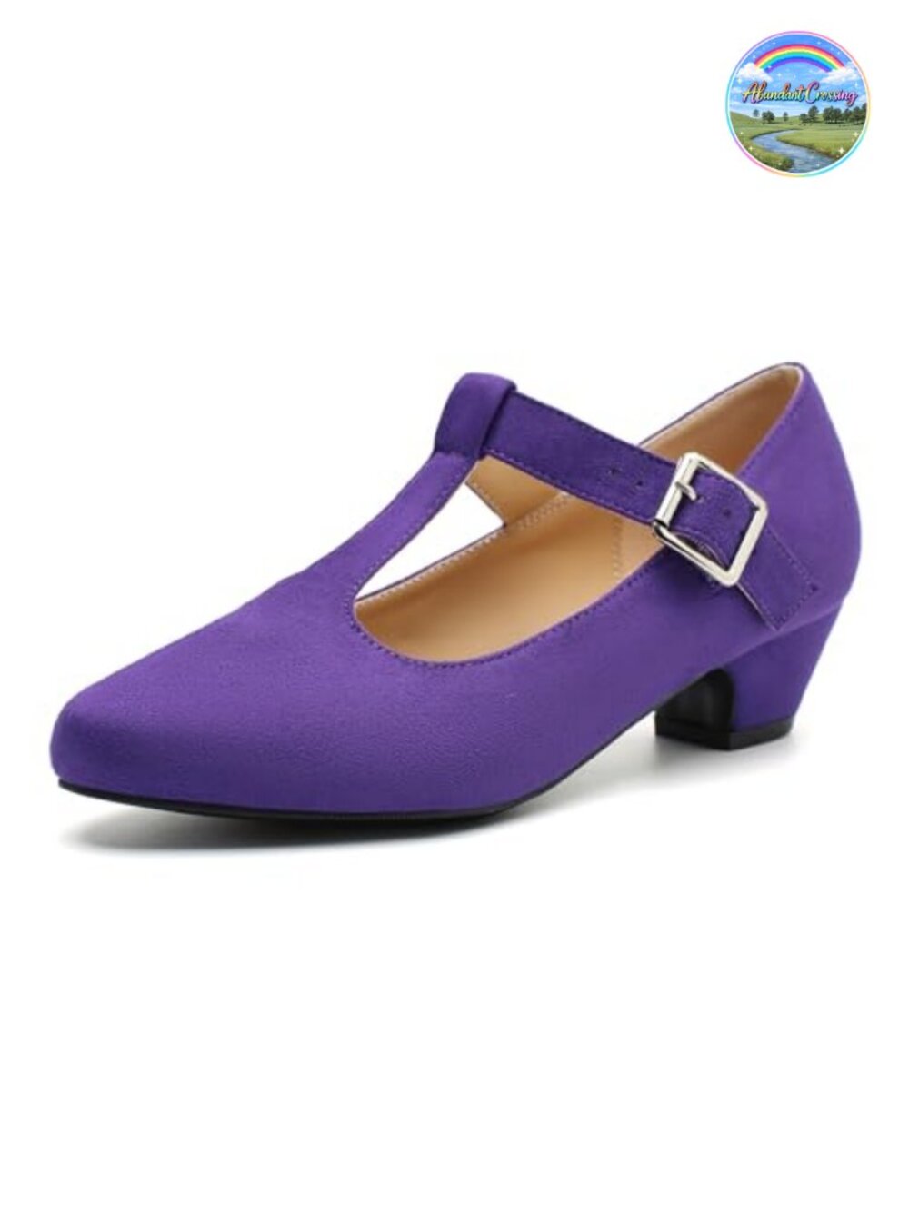Women's T-Strap Mary Jane Pumps Low Block Heel Buckle Closure Shoes